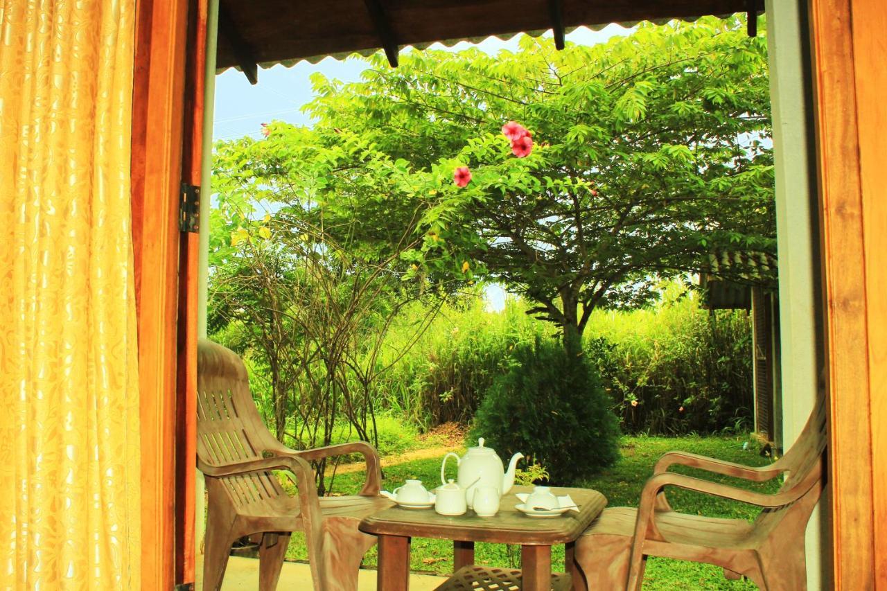Green Hut Nature Resort Szigirija Kültér fotó